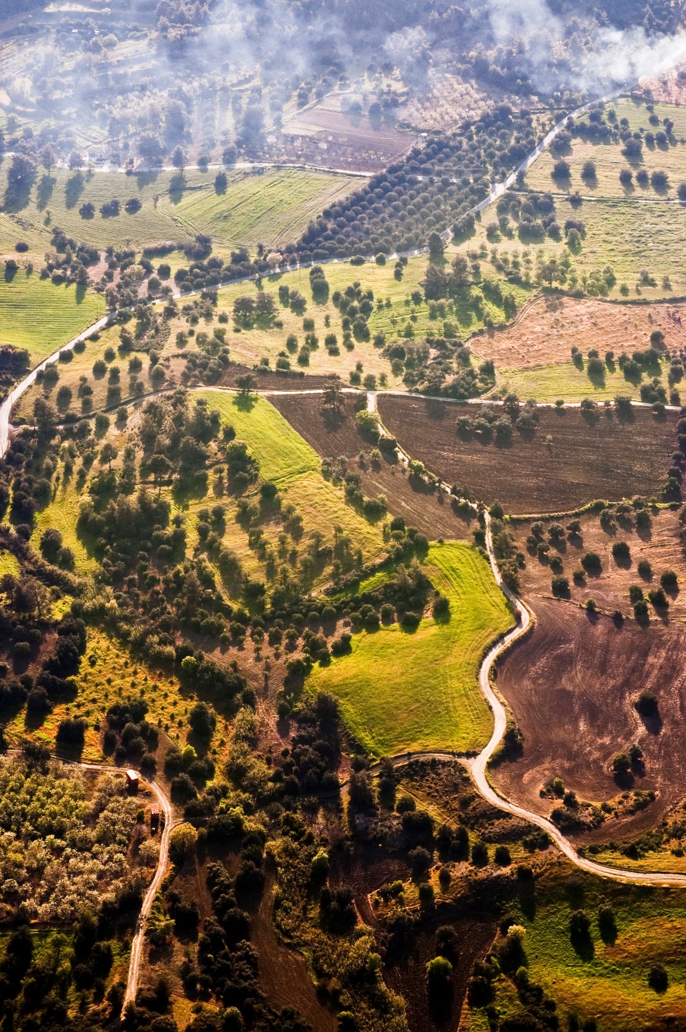 Campos agrícolas
